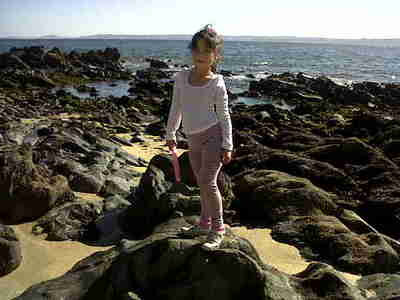 IMG00035 20100919 1539